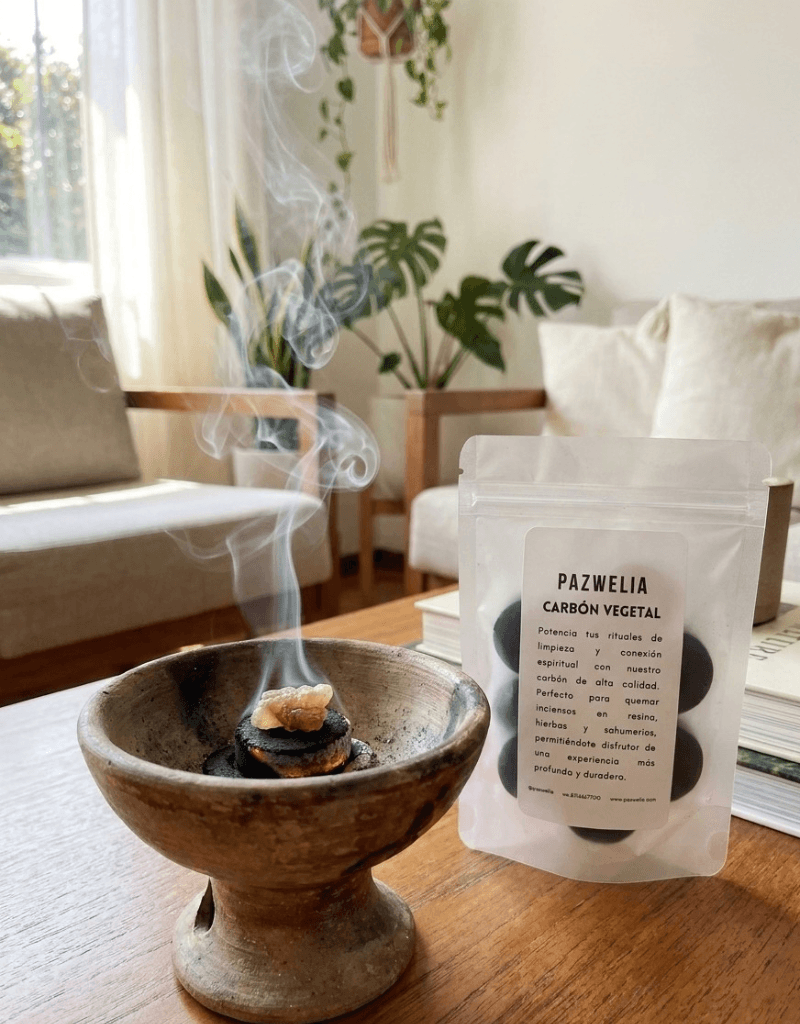 Carbón Vegetal para Copalera — Para Quemar Copal, Resinas y Sahumerios · Paquete 10 piezas