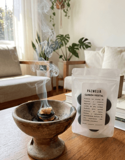 Carbón Vegetal para Copalera — Para Quemar Copal, Resinas y Sahumerios · Paquete 10 piezas